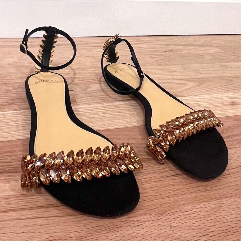 Rare! Alexandre Birman Elina Suede Crystal Ankle-strap Flat Sandal - Size 39